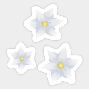 Daffodils Sticker